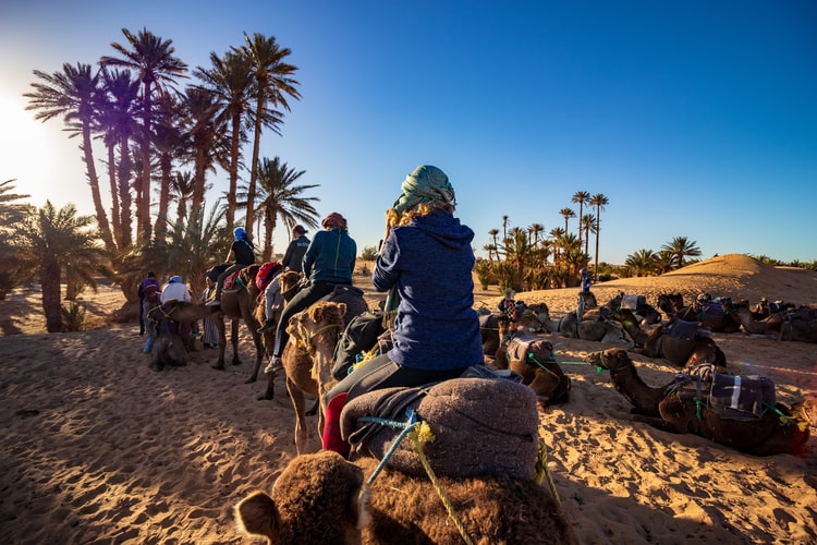 tuareg-camels-morocco